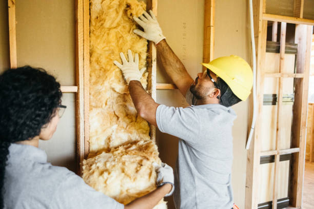Best Attic Insulation Near Me  in Belle Haven, VA