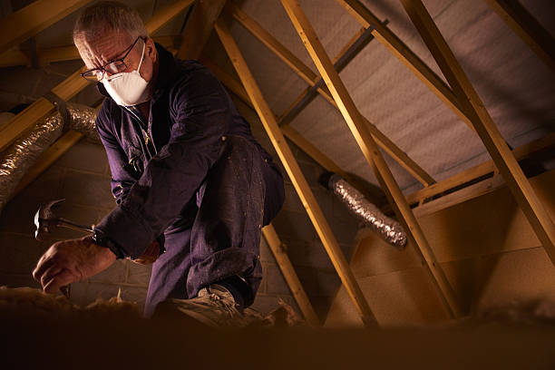 Insulation Contractors for Homes in Belle Haven, VA